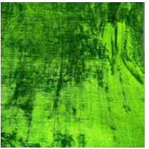Fabrics