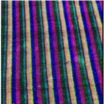 Everyday Bag Canvas or Suede